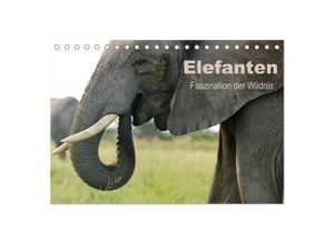 9783435677245 - Elefanten - Faszination der Wildnis (Tischkalender 2025 DIN A5 quer) CALVENDO Monatskalender