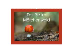 9783435677276 - Der Pilz im Märchenwald (Wandkalender 2025 DIN A2 quer) CALVENDO Monatskalender