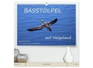9783435677306 - Basstölpel auf Helgoland (hochwertiger Premium Wandkalender 2025 DIN A2 quer) Kunstdruck in Hochglanz