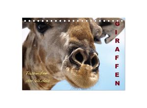 9783435677313 - Giraffen - Faszination der Wildnis (Tischkalender 2025 DIN A5 quer) CALVENDO Monatskalender