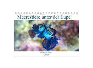 9783435677382 - Meerestiere unter der Lupe - Unterwasserkalender (Tischkalender 2025 DIN A5 quer) CALVENDO Monatskalender