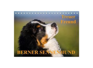 9783435677474 - Treuer Freund Berner Sennenhund (Tischkalender 2025 DIN A5 quer) CALVENDO Monatskalender