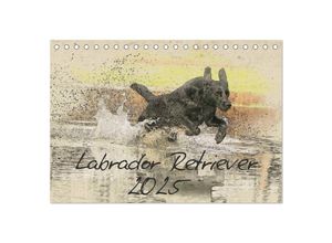 9783435677610 - Labrador Retriever 2025 (Tischkalender 2025 DIN A5 quer) CALVENDO Monatskalender