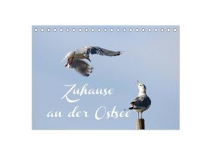 9783435677641 - Zuhause an der Ostsee (Tischkalender 2025 DIN A5 quer) CALVENDO Monatskalender