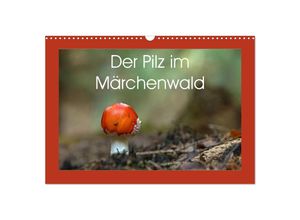 9783435677696 - Der Pilz im Märchenwald (Wandkalender 2025 DIN A3 quer) CALVENDO Monatskalender