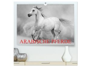 9783435677832 - Arabische Pferde (hochwertiger Premium Wandkalender 2025 DIN A2 quer) Kunstdruck in Hochglanz