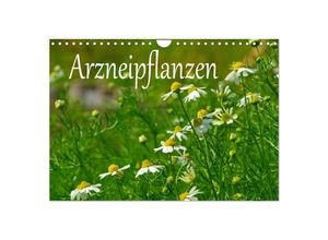 9783435677856 - Arzneipflanzen (Wandkalender 2025 DIN A4 quer) CALVENDO Monatskalender
