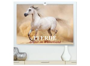 9783435677948 - Pferde - Araber im Wüstensand (hochwertiger Premium Wandkalender 2025 DIN A2 quer) Kunstdruck in Hochglanz