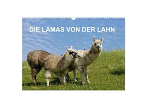 9783435678143 - DIE LAMAS VON DER LAHN (Wandkalender 2025 DIN A3 quer) CALVENDO Monatskalender