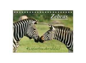 9783435678150 - Zebras - Faszination der Wildnis (Tischkalender 2025 DIN A5 quer) CALVENDO Monatskalender