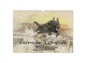 9783435678556 - Labrador Retriever 2025 (Wandkalender 2025 DIN A3 quer) CALVENDO Monatskalender