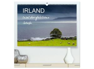 9783435679034 - IRLAND - Insel der glücklichen Schafe (hochwertiger Premium Wandkalender 2025 DIN A2 quer) Kunstdruck in Hochglanz