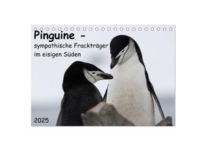 9783435679164 - Pinguine - sympathische Frackträger im eisigen Süden (Tischkalender 2025 DIN A5 quer) CALVENDO Monatskalender