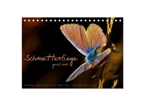 9783435679447 - Schmetterlinge ganz nah (Tischkalender 2025 DIN A5 quer) CALVENDO Monatskalender