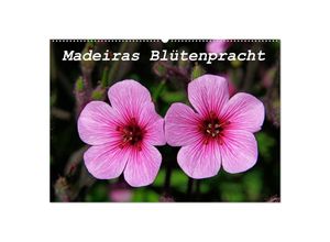 9783435679553 - Madeiras Blütenpracht (Wandkalender 2025 DIN A2 quer) CALVENDO Monatskalender