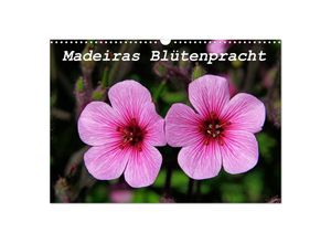 9783435679874 - Madeiras Blütenpracht (Wandkalender 2025 DIN A3 quer) CALVENDO Monatskalender