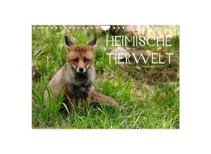 9783435679973 - Heimische Tierwelt (Wandkalender 2025 DIN A4 quer) CALVENDO Monatskalender