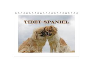 9783435680504 - Tibet-Spaniel (Tischkalender 2025 DIN A5 quer) CALVENDO Monatskalender