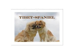 9783435681198 - Tibet-Spaniel (Wandkalender 2025 DIN A3 quer) CALVENDO Monatskalender