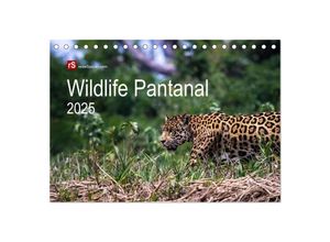 9783435681730 - Wildlife Pantanal 2025 (Tischkalender 2025 DIN A5 quer) CALVENDO Monatskalender