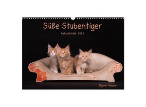 9783435682423 - Süße Stubentiger - Katzenkinder (Wandkalender 2025 DIN A3 quer) CALVENDO Monatskalender