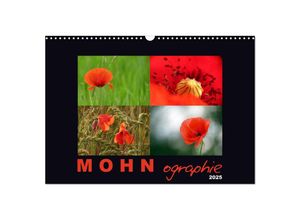 9783435683307 - MOHNographie (Wandkalender 2025 DIN A3 quer) CALVENDO Monatskalender