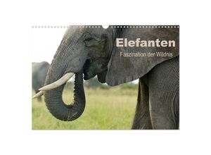 9783435683925 - Elefanten - Faszination der Wildnis (Wandkalender 2025 DIN A3 quer) CALVENDO Monatskalender