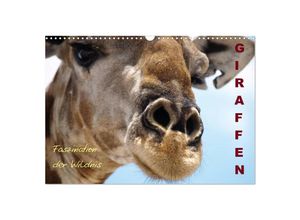 9783435683963 - Giraffen - Faszination der Wildnis (Wandkalender 2025 DIN A3 quer) CALVENDO Monatskalender