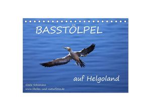 9783435684137 - Basstölpel auf Helgoland (Tischkalender 2025 DIN A5 quer) CALVENDO Monatskalender