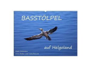 9783435684427 - Basstölpel auf Helgoland (Wandkalender 2025 DIN A2 quer) CALVENDO Monatskalender