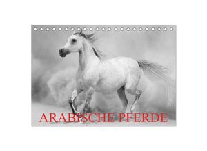 9783435684472 - Arabische Pferde (Tischkalender 2025 DIN A5 quer) CALVENDO Monatskalender