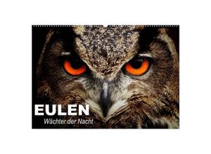 9783435684632 - Eulen Wächter der Nacht (Wandkalender 2025 DIN A2 quer) CALVENDO Monatskalender