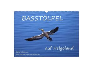 9783435684748 - Basstölpel auf Helgoland (Wandkalender 2025 DIN A3 quer) CALVENDO Monatskalender