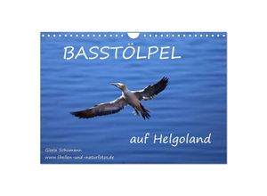 9783435685042 - Basstölpel auf Helgoland (Wandkalender 2025 DIN A4 quer) CALVENDO Monatskalender