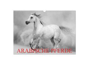 9783435685257 - Arabische Pferde (Wandkalender 2025 DIN A3 quer) CALVENDO Monatskalender