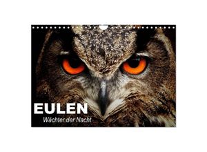 9783435685424 - Eulen Wächter der Nacht (Wandkalender 2025 DIN A4 quer) CALVENDO Monatskalender