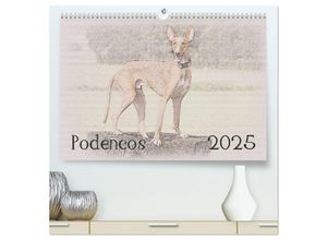 9783435685448 - Podencos 2025 (hochwertiger Premium Wandkalender 2025 DIN A2 quer) Kunstdruck in Hochglanz