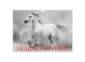 9783435685622 - Arabische Pferde (Wandkalender 2025 DIN A4 quer) CALVENDO Monatskalender