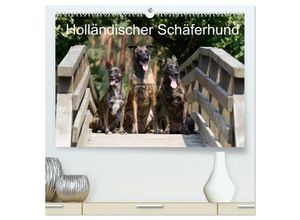 9783435685646 - Holländischer Schäferhund (hochwertiger Premium Wandkalender 2025 DIN A2 quer) Kunstdruck in Hochglanz