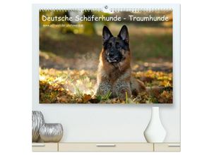 9783435685776 - Deutsche Schäferhunde - Traumhunde (hochwertiger Premium Wandkalender 2025 DIN A2 quer) Kunstdruck in Hochglanz