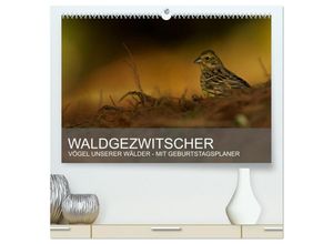 9783435685936 - Waldgezwitscher - Vögel unserer Wälder (hochwertiger Premium Wandkalender 2025 DIN A2 quer) Kunstdruck in Hochglanz