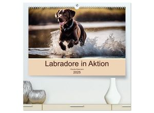 9783435686131 - Labradore in Aktion (hochwertiger Premium Wandkalender 2025 DIN A2 quer) Kunstdruck in Hochglanz