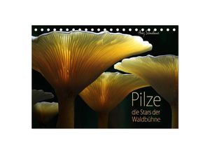 9783435686179 - Pilze - die Stars der Waldbühne (Tischkalender 2025 DIN A5 quer) CALVENDO Monatskalender