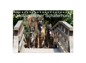 9783435686278 - Holländischer Schäferhund (Tischkalender 2025 DIN A5 quer) CALVENDO Monatskalender