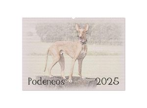 9783435686582 - Podencos 2025 (Wandkalender 2025 DIN A2 quer) CALVENDO Monatskalender