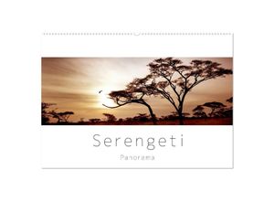 9783435686605 - Serengeti Panorama (Wandkalender 2025 DIN A2 quer) CALVENDO Monatskalender