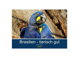 9783435686636 - Brasilien tierisch gut 2025 (Wandkalender 2025 DIN A2 quer) CALVENDO Monatskalender