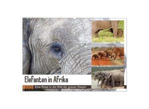 9783435687077 - Elefanten in Afrika (Wandkalender 2025 DIN A2 quer) CALVENDO Monatskalender