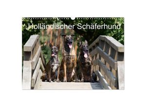 9783435687244 - Holländischer Schäferhund (Wandkalender 2025 DIN A3 quer) CALVENDO Monatskalender