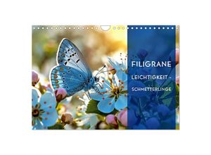 9783435687282 - Filigrane Leichtigkeit - Schmetterlinge (Wandkalender 2025 DIN A4 quer) CALVENDO Monatskalender